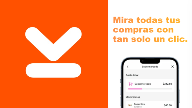 Billetera y tarjeta Kali